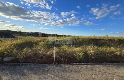 Lotes de 12x32m 100% plano, em loteamento em construção!