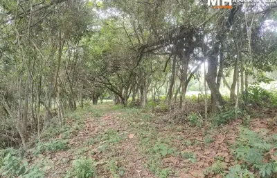 Chácara / sítio à venda na área rural de conselheiro lafaiete, conselheiro lafaiete , 100 m2 por r$ 460.000