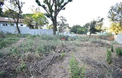 Terreno comercial para alugar na rua dos alcatrazes, 250, jardim atlântico, belo horizonte por r$ 5.000