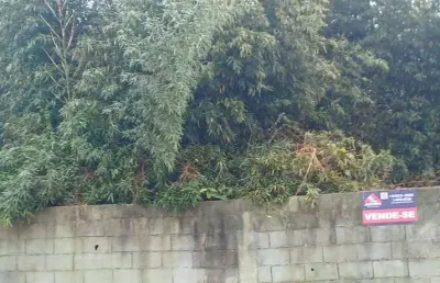 Terreno à venda, 528 m² por r$ 200.000,00 - jardim petrópolis (santa luzia) - ribeirão pires/sp