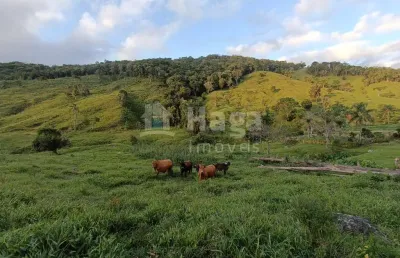 Fazenda à venda na Barra Clara, Angelina 