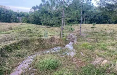 Fazenda à venda em Claraíba, Nova Trento 