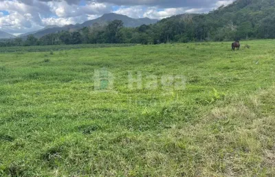 Chácara / sítio à venda no Moura, Canelinha 