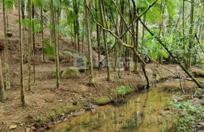 Terreno à venda em Claraíba, Nova Trento 