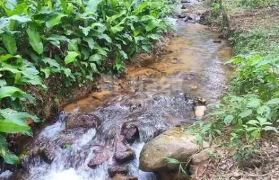 Chácara / sítio com 3 quartos à venda na Zona Rural, Major Gercino 