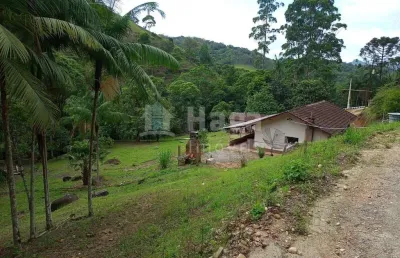 Fazenda à venda no Mato Queimado, Nova Trento 