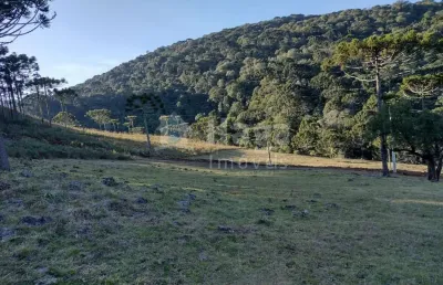 Terreno para sítio á venda em bom jardim da serra/sc