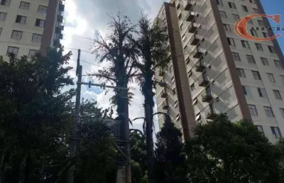 Apartamento com 2 dormitórios à venda, 58 m² por r$ 320.000,00 - vila campestre - são paulo/sp