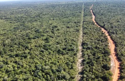 Fazenda com 2 salas à venda na Avenida Landri Sales, Zona Rural, Piracuruca