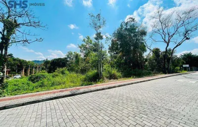 Terreno à venda, 4088 m² por r$ 5.000.000,00 - velha - blumenau/sc