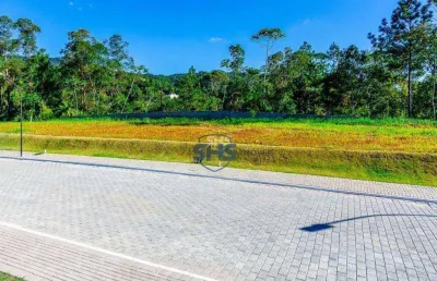 Terreno à venda, 352 m² por r$ 599.000,00 - velha - blumenau/sc