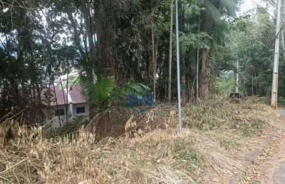 Terreno à venda, 438 m² por r$ 590.000,00 - velha - blumenau/sc
