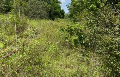 Fazenda à venda na Zona Rural, Araçás 