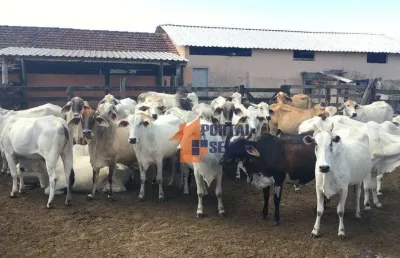 Fazenda à venda, 1258400 m² por r$ 9.100.000 - banqueiros - araruama/rj