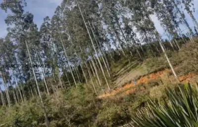 Chácara para venda em quatro barras, ribeirão do tigre