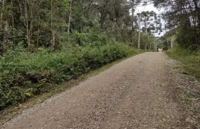 Chácara para venda em campina grande do sul, timbu velho