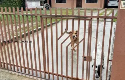Casa para venda em campina grande do sul, jardim da colina, 4 dormitórios, 1 suíte, 2 banheiros, 2 vagas
