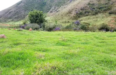 Sítio à venda no bairro grama, em juiz de fora - mg