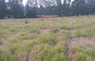 Terreno à venda na Rodovia Capitão Barduíno, Curitibanos, Bragança Paulista