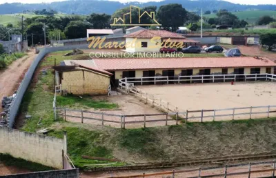 Lindo haras no bairro da usina em braganca paulista sp