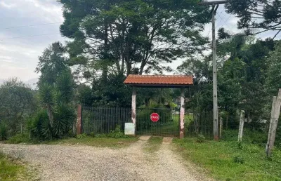 Chácara / sítio com 3 quartos à venda no Centro, Campina Grande do Sul 