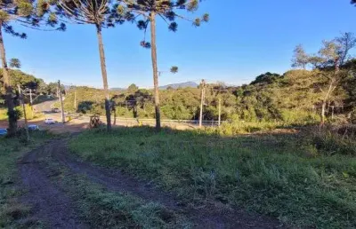 Área industrial para venda campina grande do sul - pr