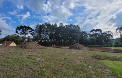 Chácara / sítio à venda na Rua Coronel Monteiro, Zona Rural, Campina Grande do Sul