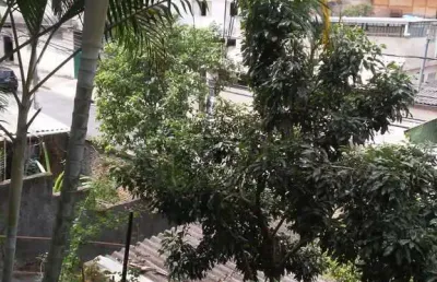 Terreno em condomínio fechado à venda na rua professor raphael hardy, --, padre eustáquio, belo horizonte por r$ 270.000