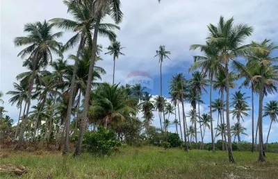 Terreno comercial à venda na Ilha Do João Ferreira, S/N, Centro, Tamandaré
