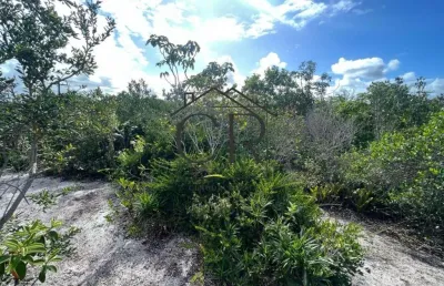 Terreno à venda na 1ª Travessa Busca Vida, Abrantes, Camaçari