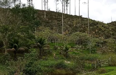 Fazenda à venda na Rua Barão de Madalena, Zona Rural, Santa Maria Madalena