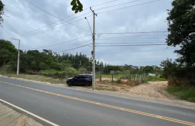 Área plana de 4912m2 à venda no bairro pinheiro, com 50m de testada e excelente topografia.