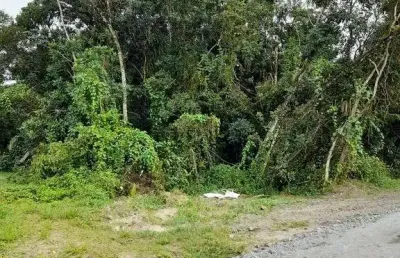 Terreno à venda na Praia de Leste, Pontal do Paraná 