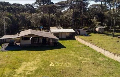Chácara / sítio com 4 quartos à venda na Zona Rural, Araucária 