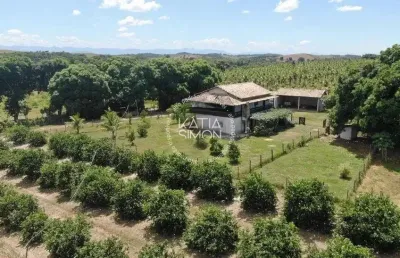 Sítio fantástico com plantação de limão em saquarema – um refúgio natural e produtivo