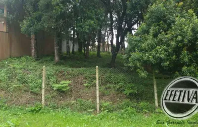 Terreno à venda na Rua Cidadania da Santa Felicidade, Santa Felicidade, Curitiba