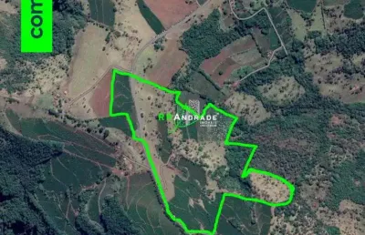 Fazenda à venda no Centro, Pedregulho 