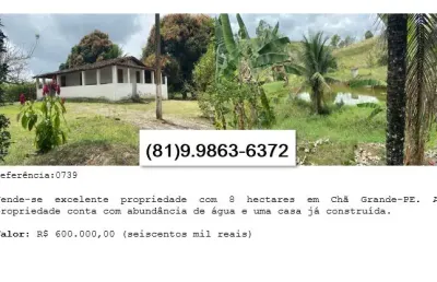 Vende-se excelente propriedade com 8 hectares em chã grande-pe