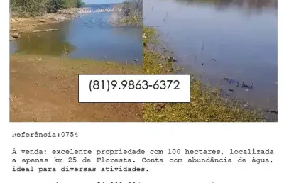 À venda: excelente propriedade com 100 hectares, localizada a apenas km 25 de floresta.