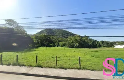 Excelente terreno, às margens da rod. oswaldo cruz, com 15.000 m²