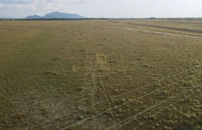 Fazenda à venda na praça centro cívico 176, 00, centro, boa vista por r$ 65.000.000