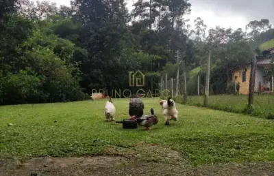 Chácara / sítio com 2 quartos à venda na estrada andre franco montoro, 00, recanto pouso alegre, piracaia por r$ 700.000