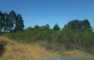 Excelente chacara com 36.300 m2 campestre tijucas 170.000