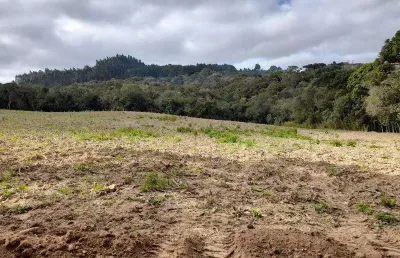 Excelente chacara com 35,000 m2 roça velha 700,000,00