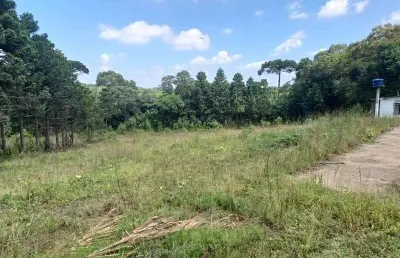 Excelente chacara com 5.000 c,largo da roseira sem benfeiturias 290.000,00