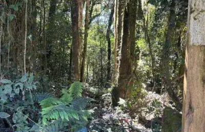 Excelente chacaras com 20.000 m2 cada na faxina em tijucas 200.000 área rural de tijucas do sul