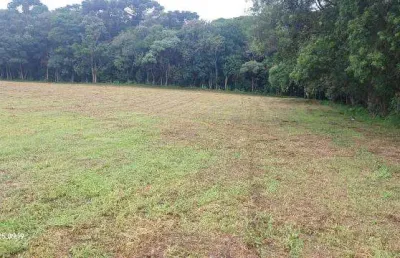 Chácara / sítio à venda na Praça Padre Francisco Proft, Contenda, São José dos Pinhais