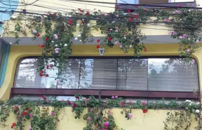 Lindo sobrado, cidade das flores, osasco, são paulo.