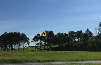 Área comercial à venda na rodovia castelo branco!!!