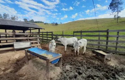 Chácara / sítio com 3 quartos à venda na Pinhalzinho Sp., REF.34, Areal, Pinhalzinho